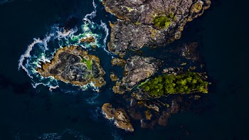 Brown Island