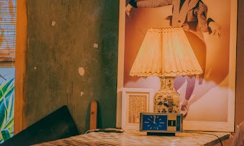 Brown Lamp Shade