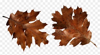 Brown Leaf And Grass Clipart Png - Brown Leaf And Grass Clipart Png