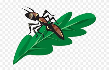 Brown, Leaf, Cartoon, Ant, Plant, Insect - Ant On The Leaf