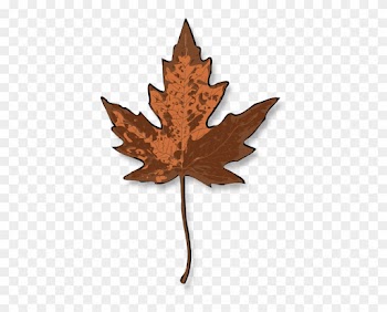 Brown Leaf Clip Art - Maple Leaf Clip Art