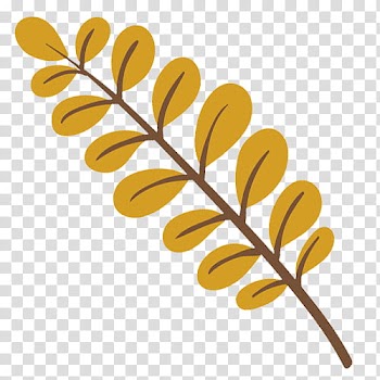 Brown leaf illustration transparent background PNG clipart