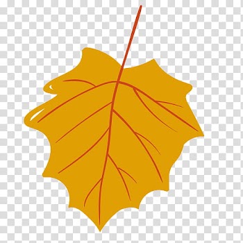 Brown leaf illustration transparent background PNG clipart