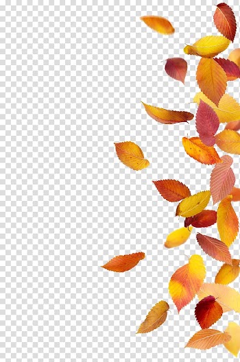 Brown leaf lot , Autumn leaf color , Autumn leaves transparent background PNG clipart