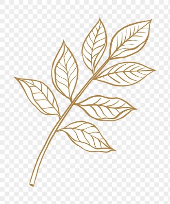 Brown leaf png clipart, vintage | Free PNG Sticker - rawpixel