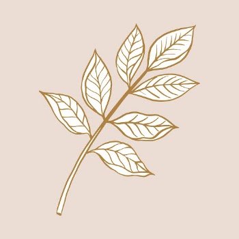 Brown leaf sticker, vintage botanical | Free Vector Illustration - rawpixel