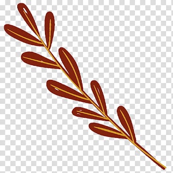 Brown leafed plant illustration transparent background PNG clipart