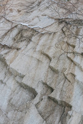 Brown Leafless Tree on White Sand · Free Stock Photo