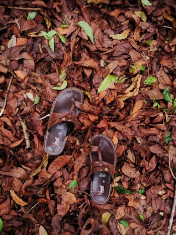 Brown Leather Sandals