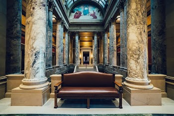 Brown Leather Sofa Chair