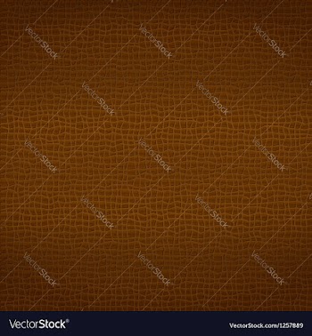  					Brown Leather Texture vector image														