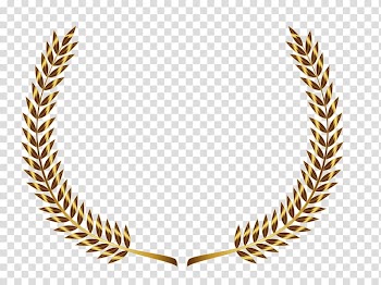 Brown leaves illustration, Laurel wreath Gold Bay Laurel , gold leaf transparent background PNG clipart