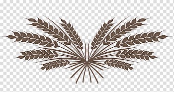 Brown leaves illustration, Wheat Drawing Cereal, wheat grains transparent background PNG clipart