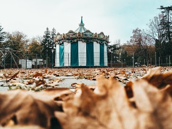 Brown Leaves on Floor