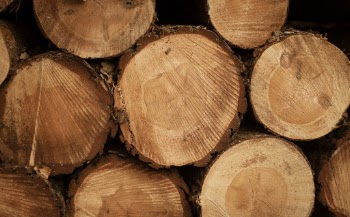 Brown Logs