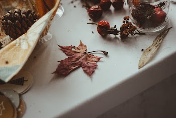 Brown Maple Leaf