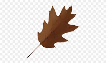 Brown Maple Leaf Clip Art At Clker - Brown Leaf