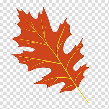 Brown maple leaf illustration transparent background PNG clipart