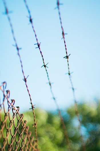 Brown Metal Bulb Wire during Daytime