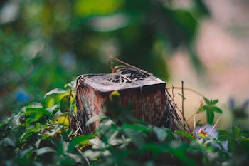 Brown Metal Container Surrounded by Green Grass