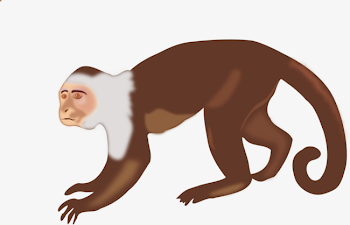 Brown Monkey, Monkey Clipart, Brown, Monkey PNG Image and Clipart ...
