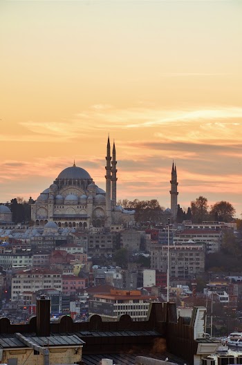 Brown Mosque