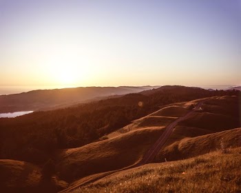 brown mountain