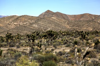 Brown Mountain
