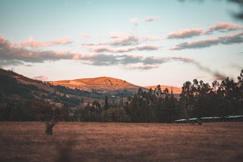 Brown Mountain