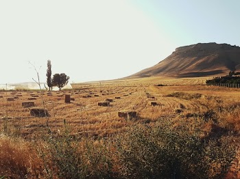 Brown Mountain and Brown Grass Field