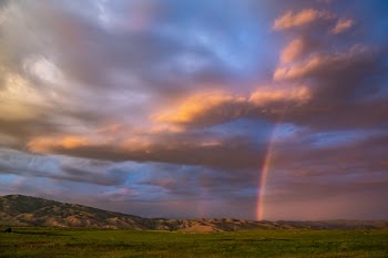 Brown Mountain Hill