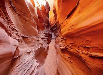 Brown Mountain Pathway