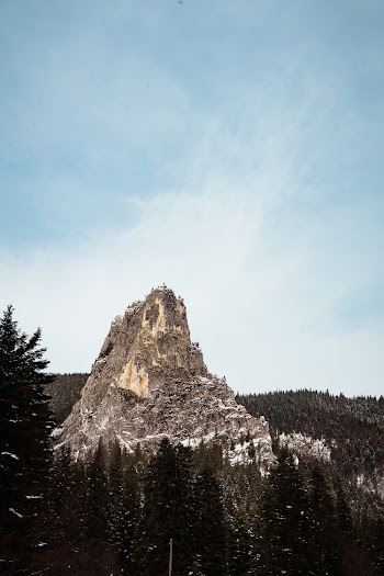 Brown Mountain Surrounded by Trees