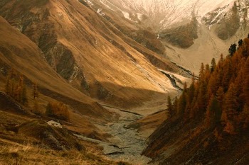 brown mountains
