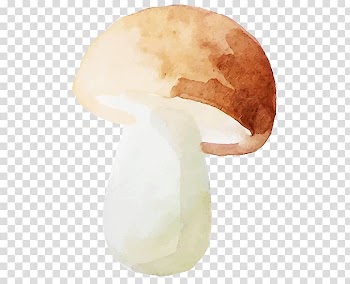 Brown mushroom , Watercolor: Flowers Watercolor painting, Watercolor mushrooms transparent background PNG clipart