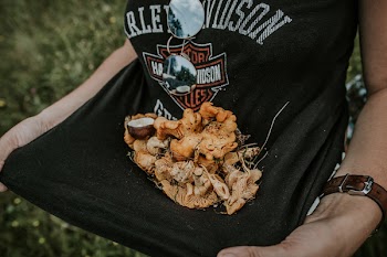Brown Mushrooms on Women's Shirt