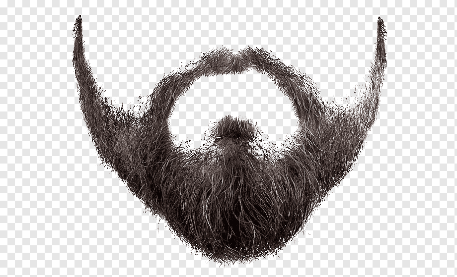 brown mustache, Beard, beard and moustache, image File Formats, people, snout png
