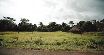 Brown Nipa Hut Under White Clouds