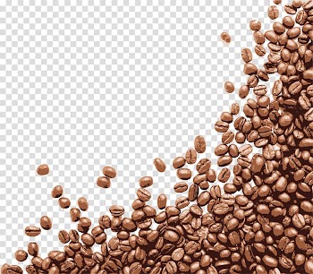 Brown nuts, Coffee bean Cappuccino Cafe, Hand painted brown coffee beans transparent background PNG clipart