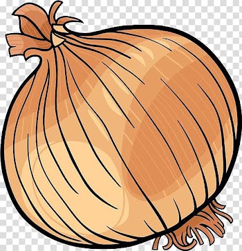 Brown onion art, Onion Vegetable Black and white , Cartoon onion material transparent background PNG clipart