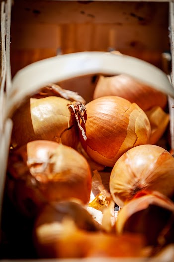 Brown Onions