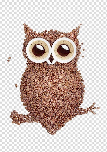Brown owl , Coffee bean Latte Tea Cafe, owl transparent background PNG clipart