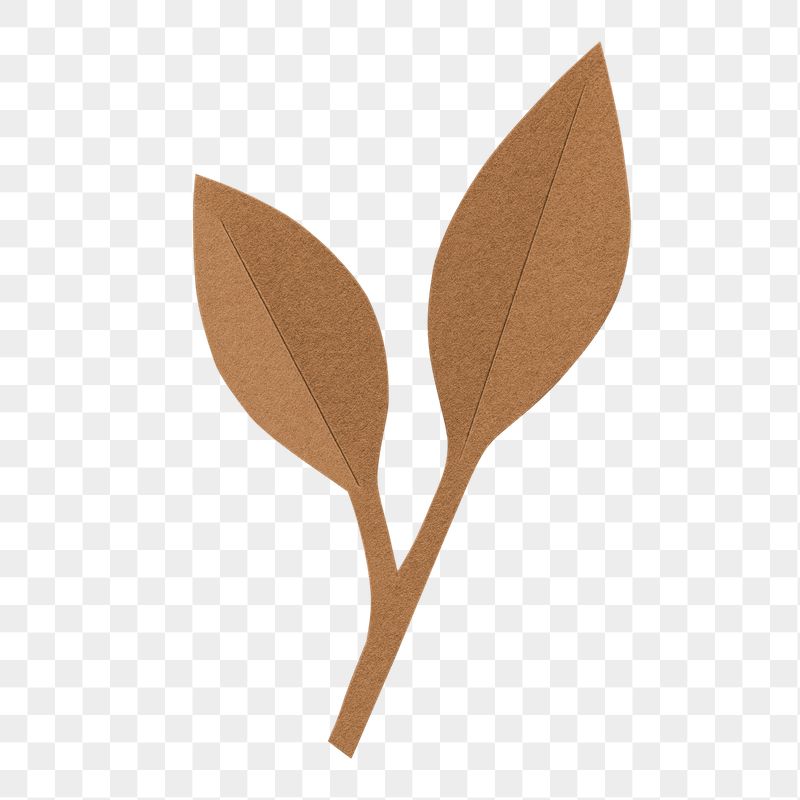 Brown paper leaf png sticker, | Free PNG - rawpixel