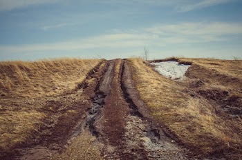 Brown Pathway Between Grass Field