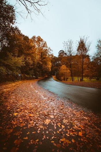 Brown Paved Road Under Blue Sky