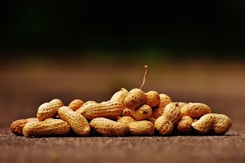 Brown Peanuts