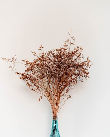 Brown Petaled Flowers Decor