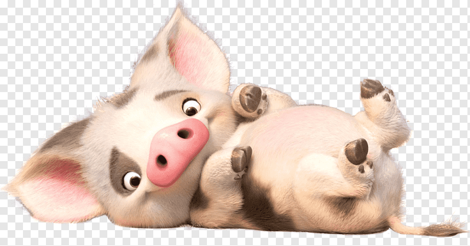 brown pig illustration, Hei Hei the Rooster Moana Seduction community Film Character, moana, mammal, snout, film png