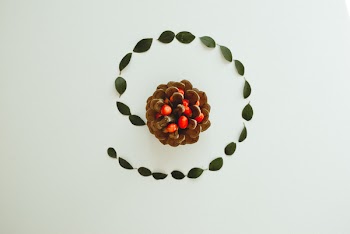 Brown Pinecone Close-up Phot