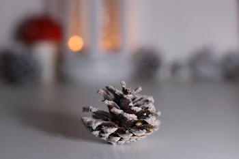 Brown Pinecone On Surface